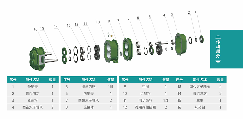 GS/DR系列凸輪轉(zhuǎn)子泵傳動部分結(jié)構(gòu)圖